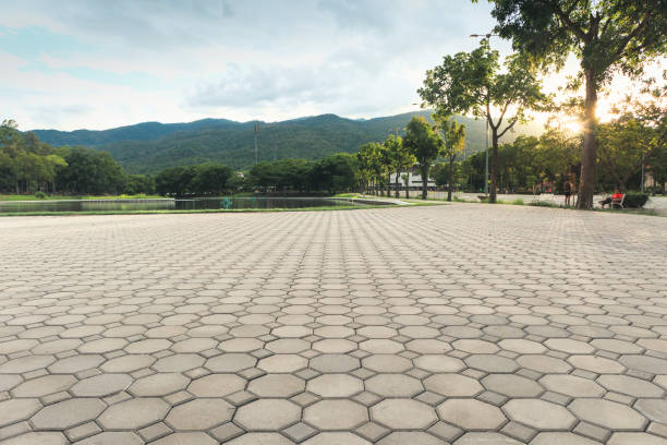 Best Professional Driveway Pavers  in Sutter, CA